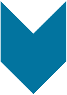 Vektor